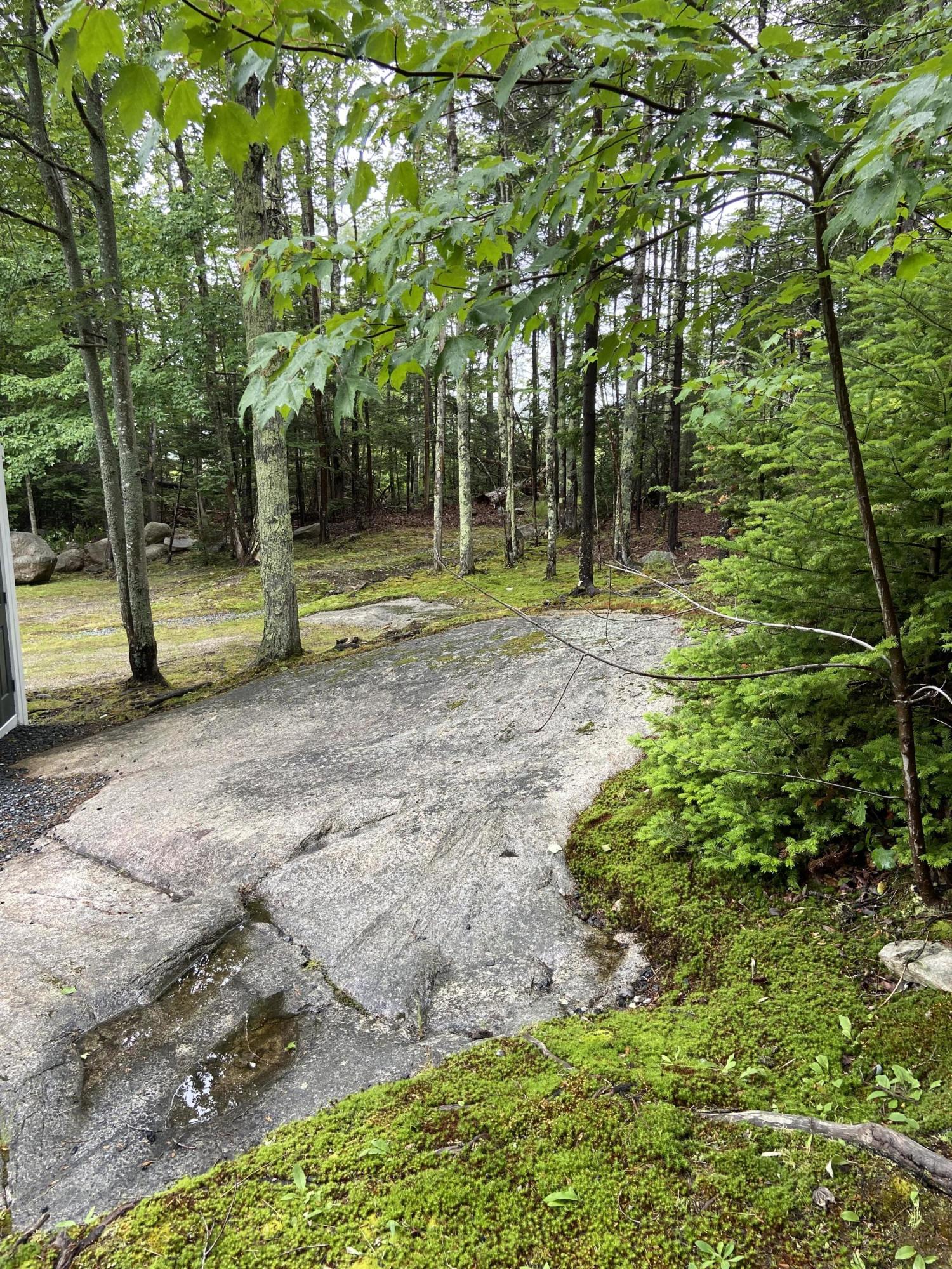 25 Millbrook Road Northeast Harbor, ME 04662 - Photo 29 of 31 Backyard