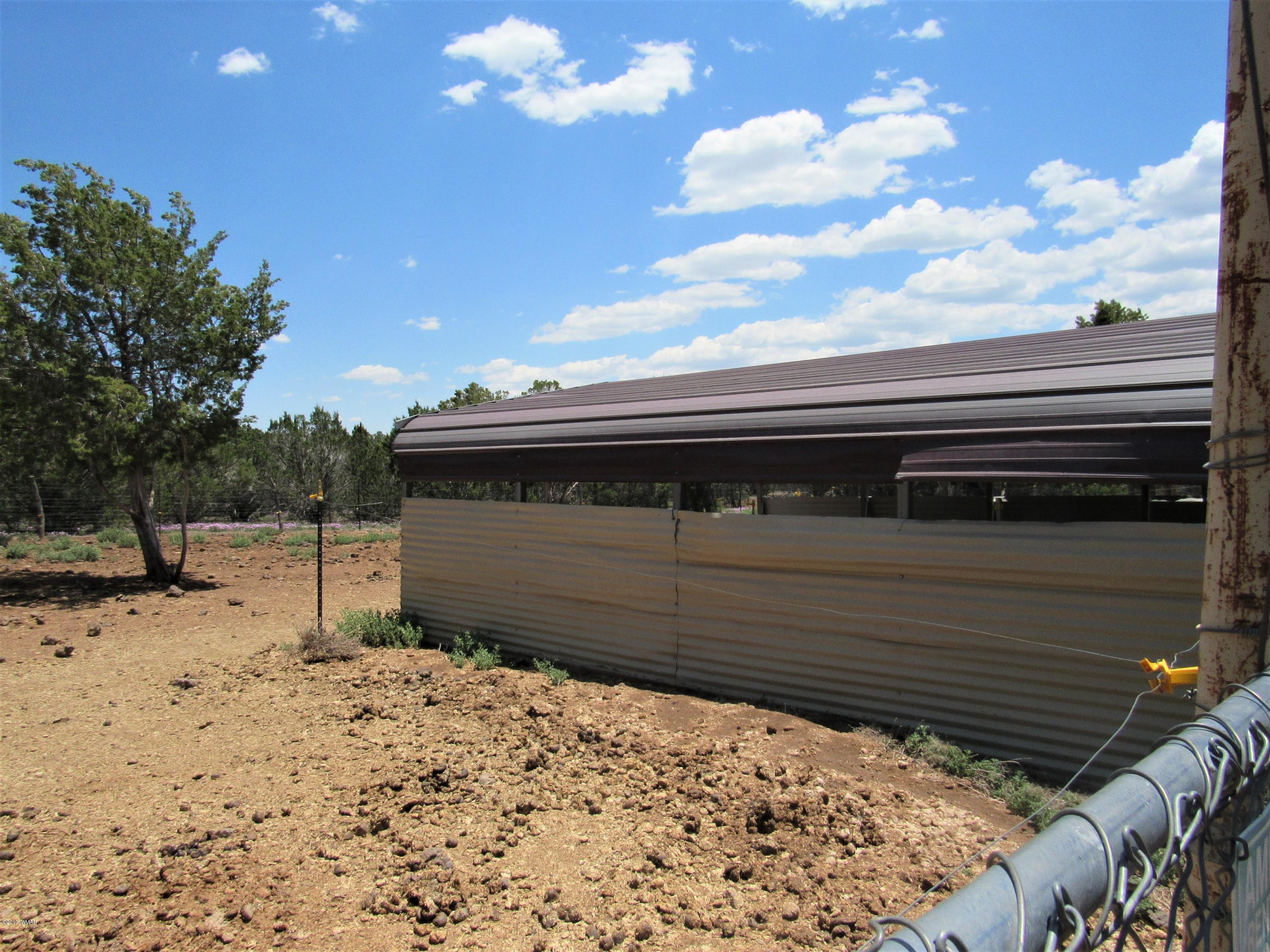 167 Acr 3148 Elk Run Road Show Low, AZ 85901 - Photo 21 of 27
