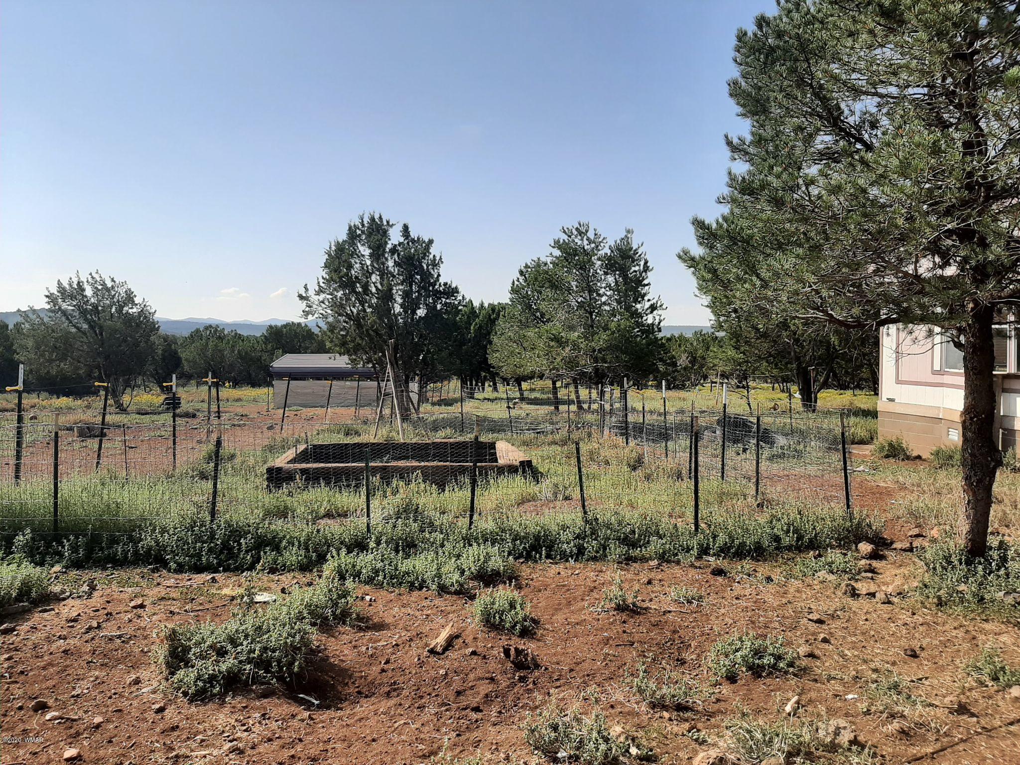167 Acr 3148 Elk Run Road Show Low, AZ 85901 - Photo 24 of 27