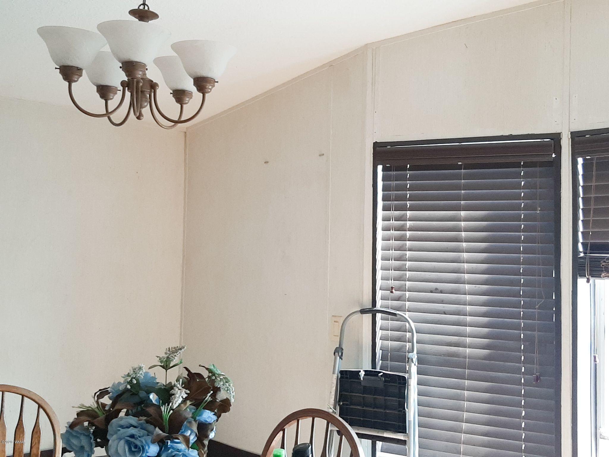 167 Acr 3148 Elk Run Road Show Low, AZ 85901 - Photo 5 of 27