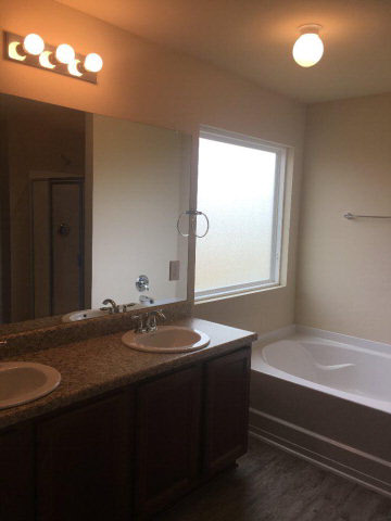 17397 Harding Drive Foley, AL 36535 - Photo 8 of 14 Master Bath