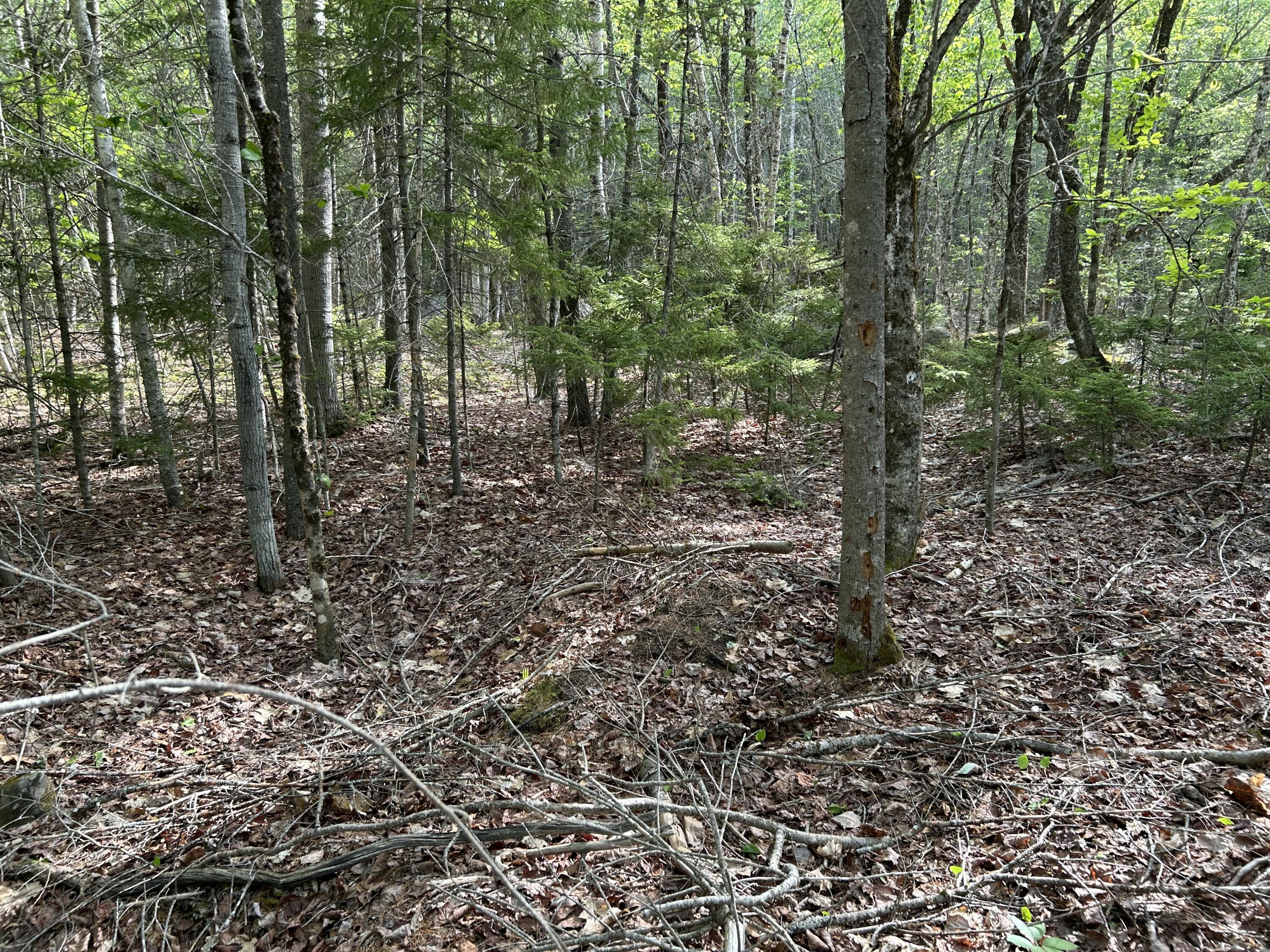 M5-l16 Clark Road Prospect, ME 04981 - Photo 18 of 45 IMG_8765