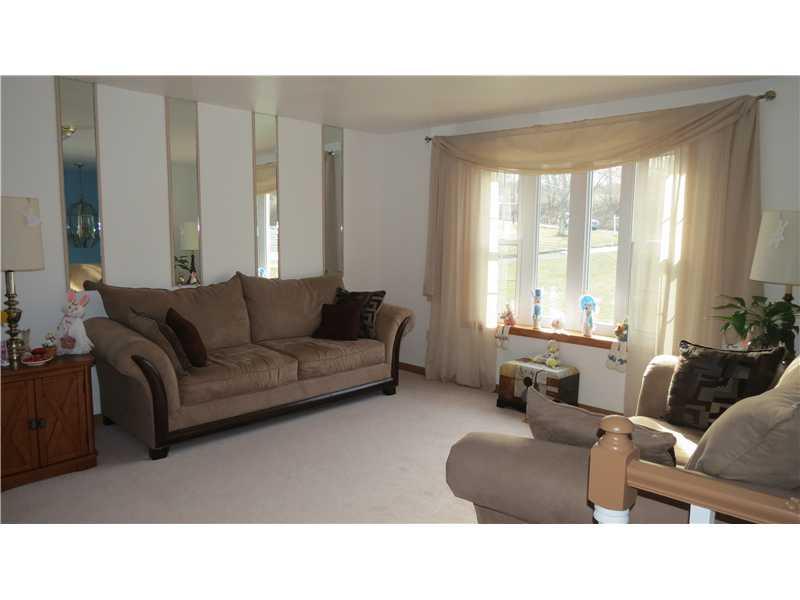 569 Pine Run Road Apollo, PA 15613 - Photo 6 of 8 Living Room. The living room is bright and sunny, with new carpet, bow window, and is newly painted. Window treatments will be included in sale. The neutral colors in this spotless home mean that it is move in ready.
