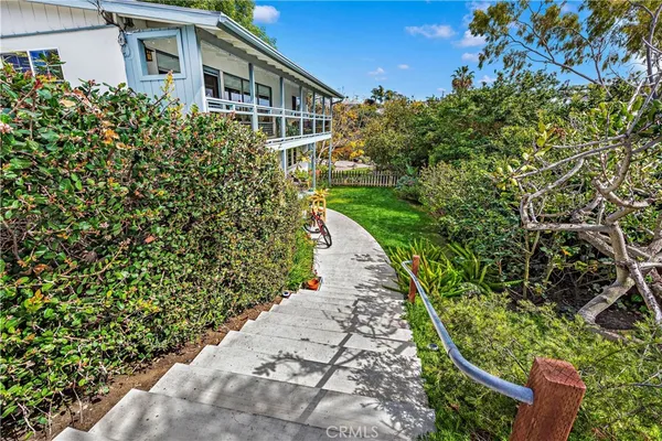a view of a yard with plants and trees