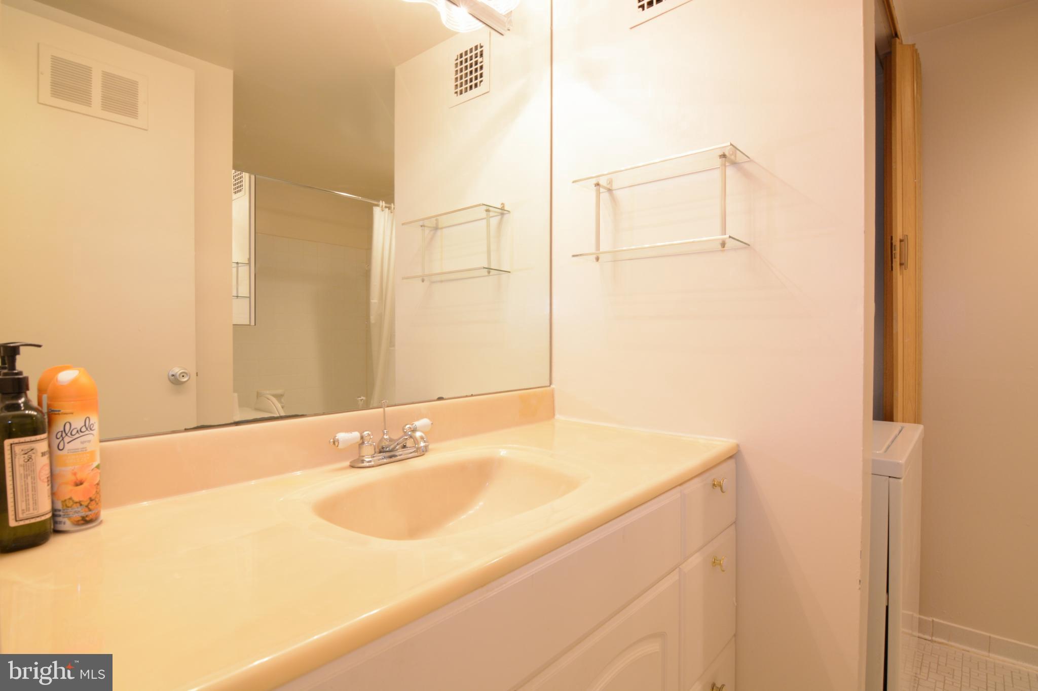 3344 Hewitt Avenue, Unit 22A Silver Spring, MD 20906 - Photo 19 of 27 Full bath with washer and dryer