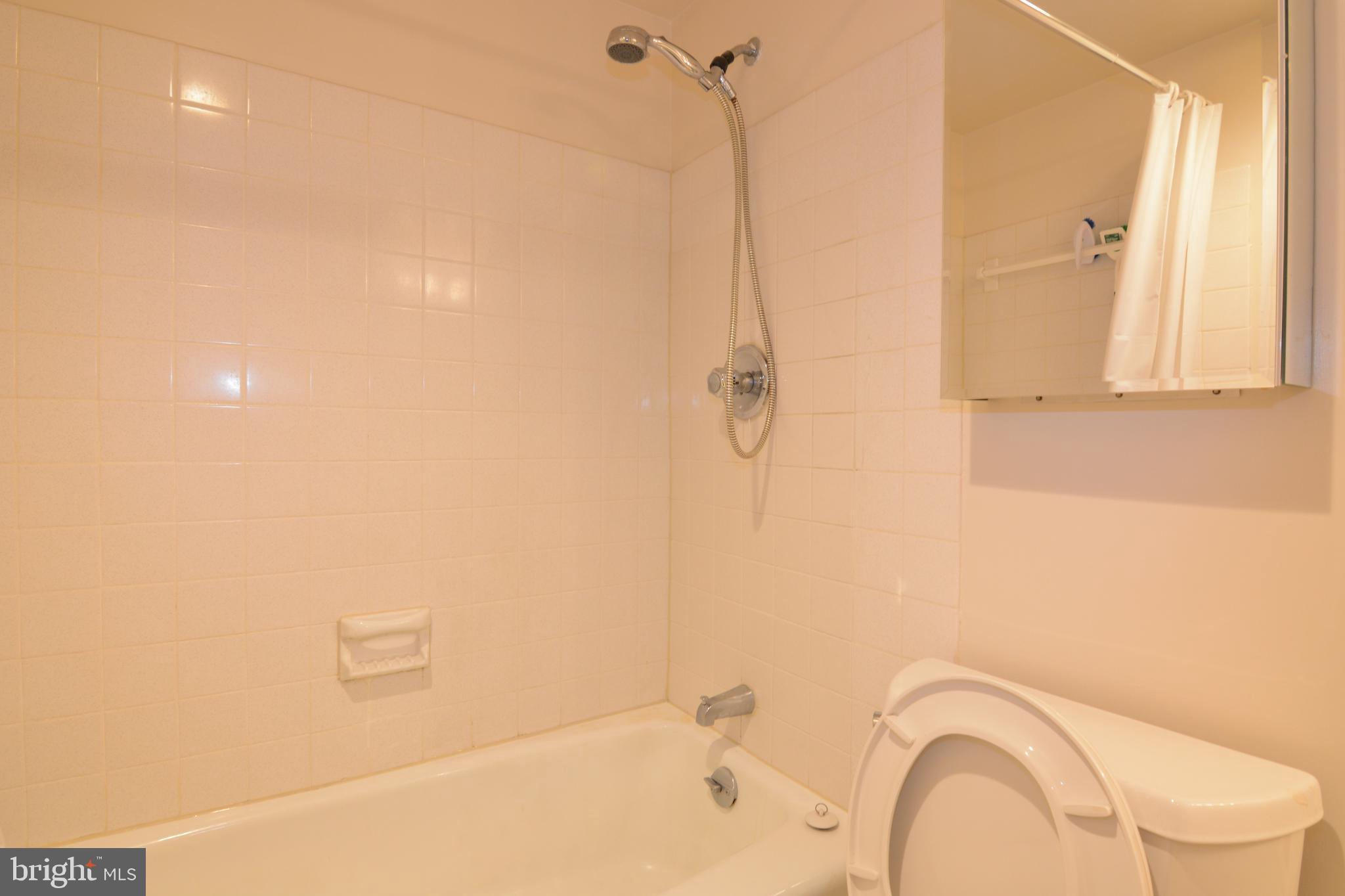 3344 Hewitt Avenue, Unit 22A Silver Spring, MD 20906 - Photo 21 of 27 Full bath with tub