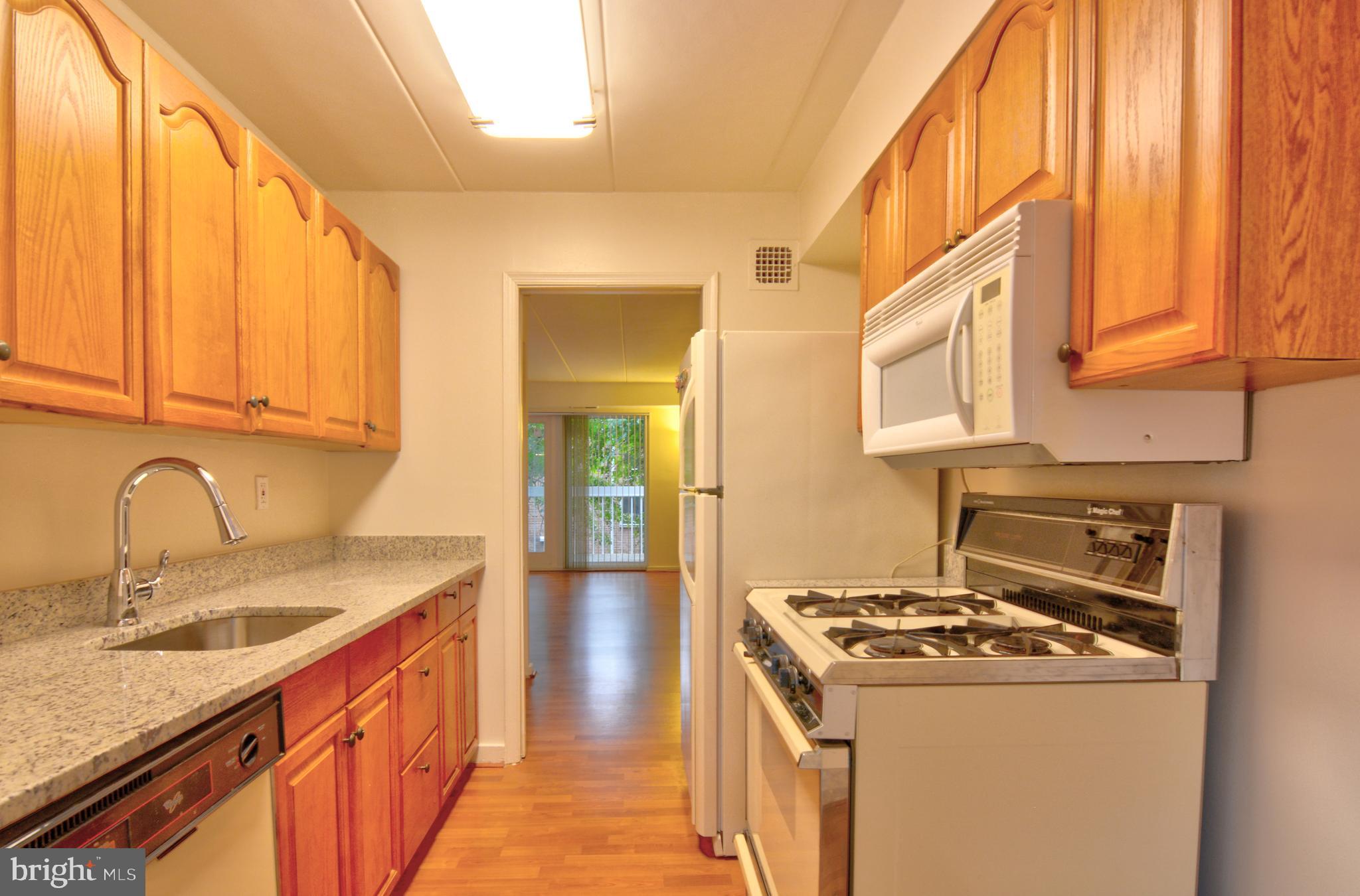 3344 Hewitt Avenue, Unit 22A Silver Spring, MD 20906 - Photo 7 of 27 New Granite Counter top, sink and faucet