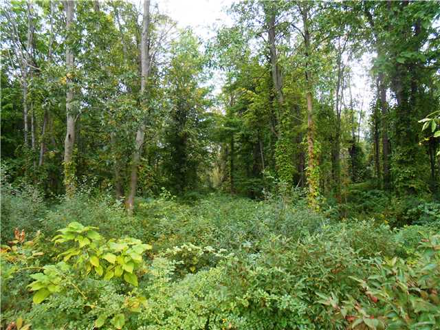 564 Basket Road Webster, NY 14580 - Photo 1 of 1 Land