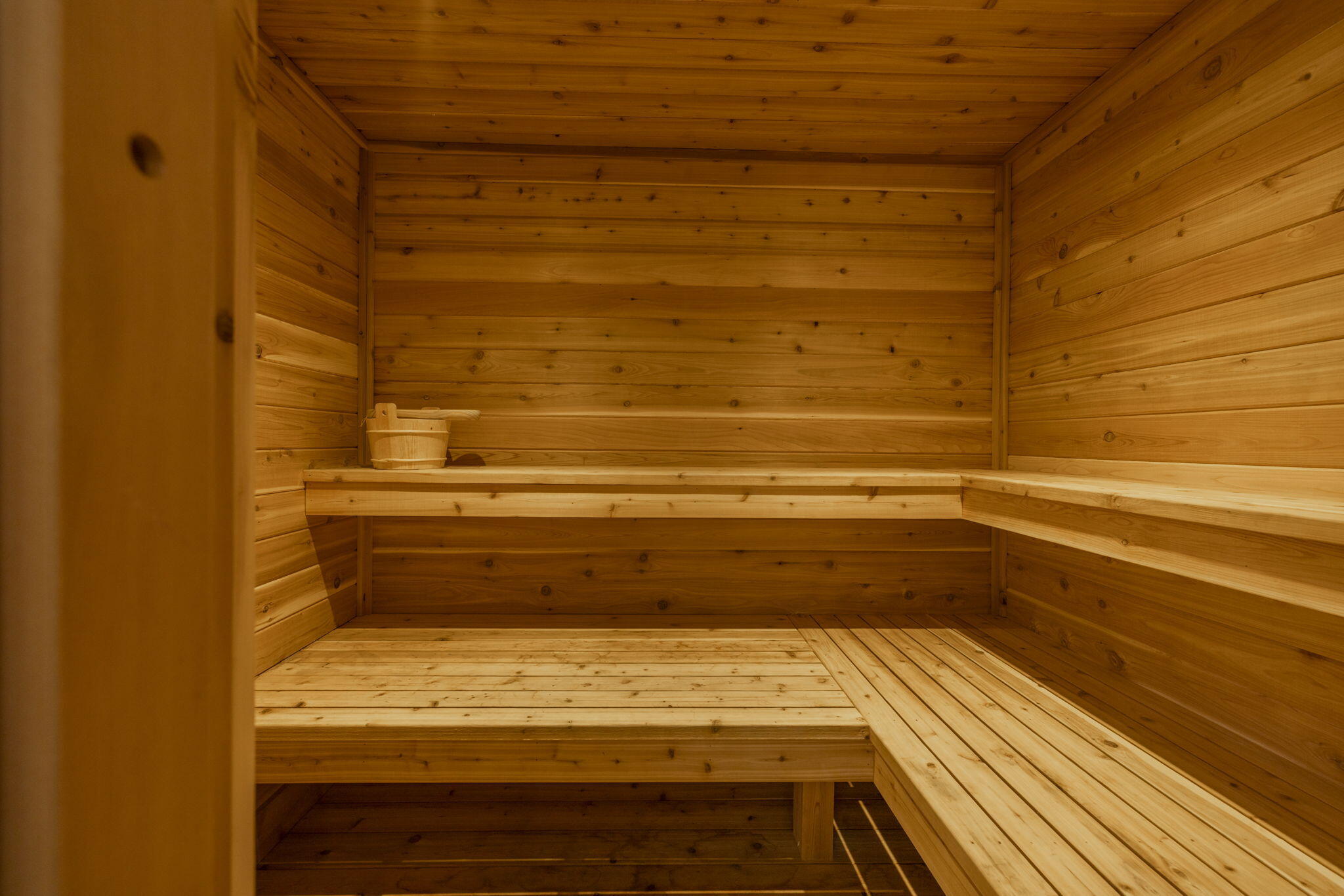 6852 West East Road Lakeside, MI 49128 - Photo 49 of 53 The Commons - Sauna