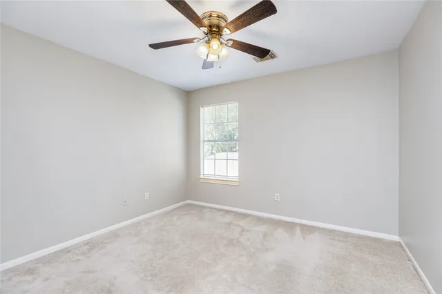 a view of a yard with plants and a large tree