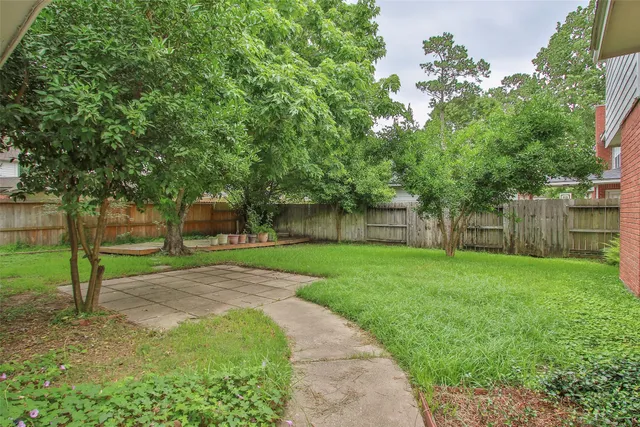a view of a backyard with large trees plants and large tree