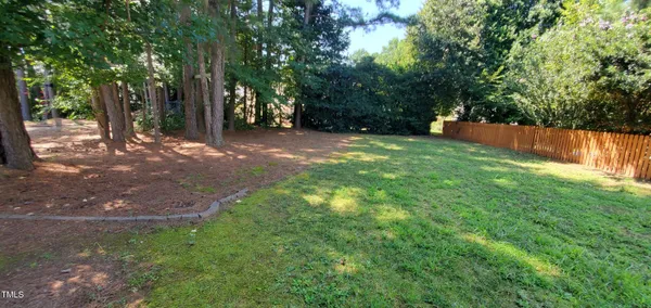 a view of backyard with tree