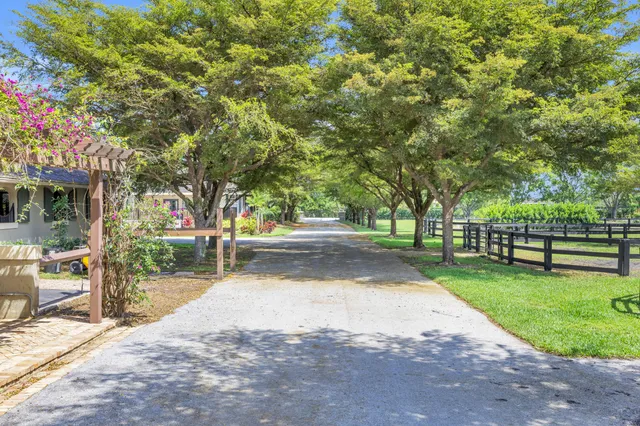 a view of a park with large trees