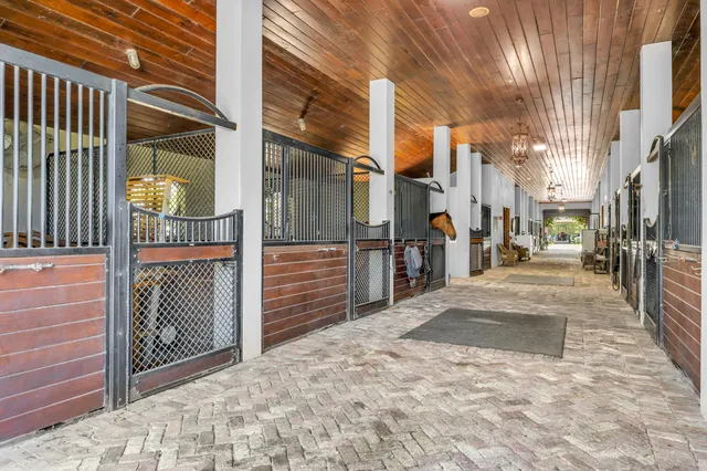 a view of a pathway both side of building