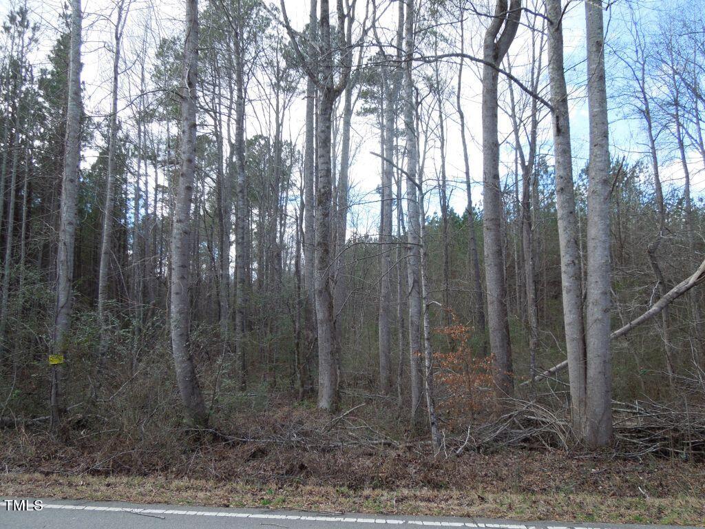 Tbd Macon-Embro Road Macon, NC 27551 - Photo 15 of 29 DSCN7180
