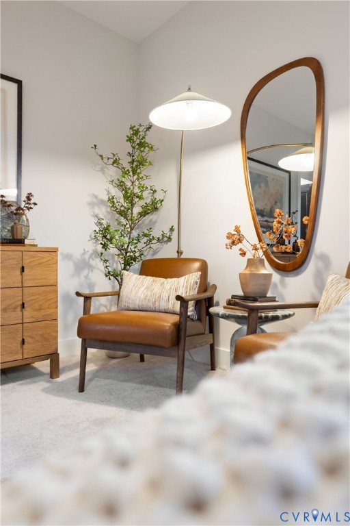 8632 Cherokee Road Richmond, VA 23235 - Photo 23 of 34 a living room with furniture and a mirror