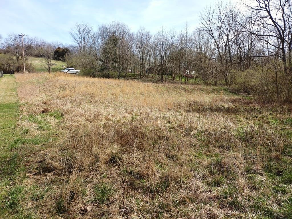 2-acre Keesling School Road, Unit 18 Max Meadows, VA 24360 - Photo 5 of 12 Gallery Image 5