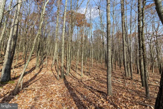 $24,900 | Lot 265 Hidden Forest Drive, Hazleton, PA 18202