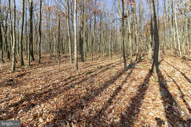 $24,900 | Lot 265 Hidden Forest Drive, Hazleton, PA 18202