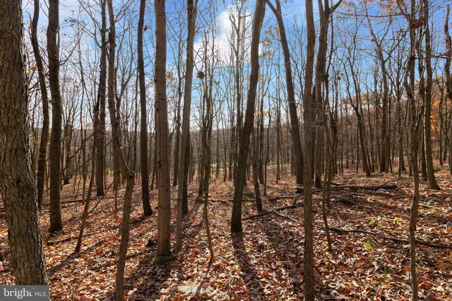 $24,900 | Lot 265 Hidden Forest Drive, Hazleton, PA 18202