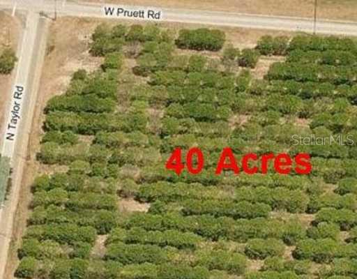 7411 North Taylor Road Seffner, FL 33584 - Photo 1 of 1 Aerial View - Aerial view
