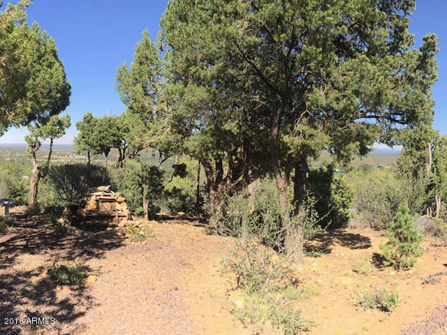 6324 Deer Run Road Show Low, AZ 85901 - Photo 35 of 36 035_View