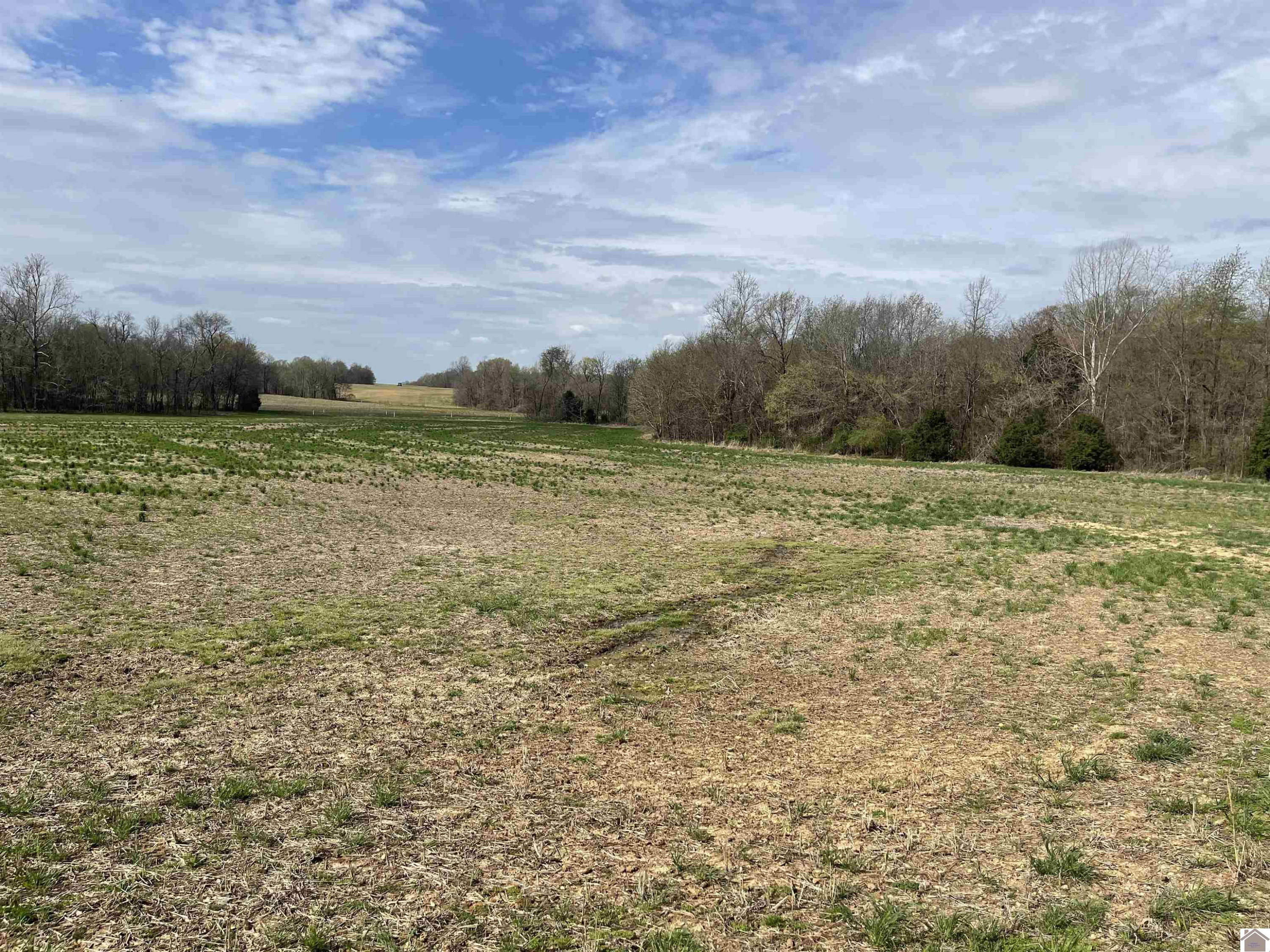 1955 West Slaughter Road Mayfield, KY 42066 - Photo 2 of 11 Photo 2