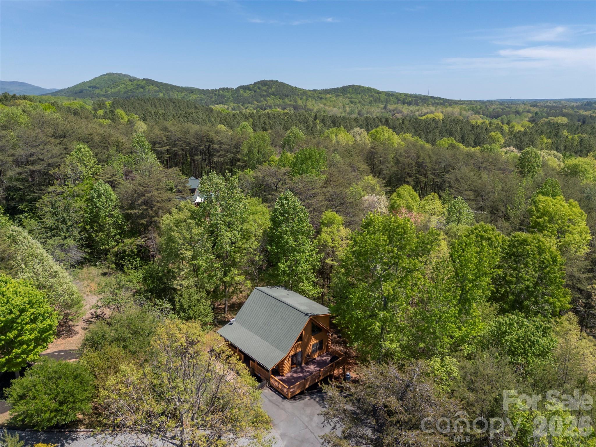 125 Pine Ridge Drive Bostic, NC 28018 - Photo 40 of 47
