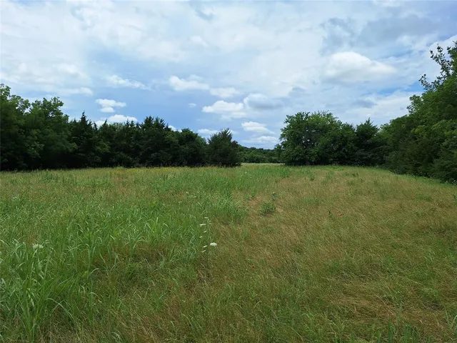 a view of an outdoor space and yard