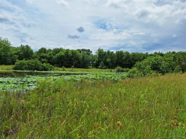 a view of a lake with a garden