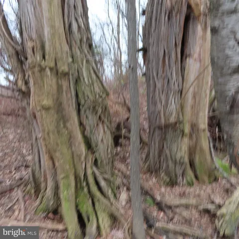 $1,999,900 | 34.77-acres 34.77-acres Red Oak Estate South, Greencastle, PA 17225