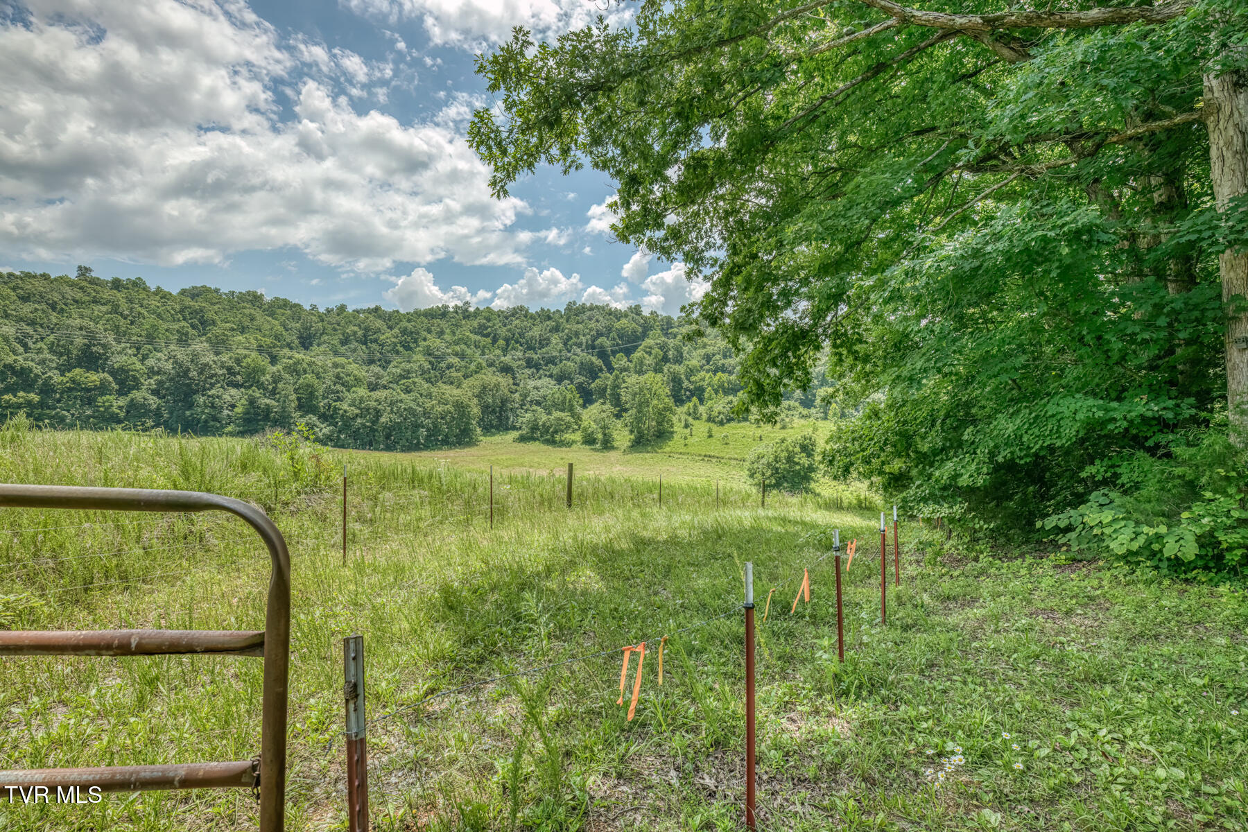 2083 Bundren Mountain Road Tazewell, TN 37879 - Photo 18 of 42 2083 Bundren Mountain Rd-33
