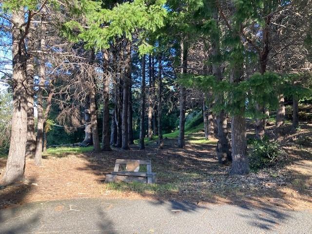 10 Gale Point Whitethorn, CA 95589 - Photo 3 of 20 access from private culdesac