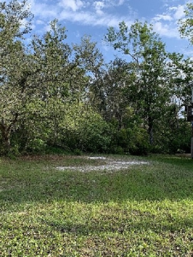 1040 Low Drive Orange Beach, AL 36561 - Photo 1 of 1