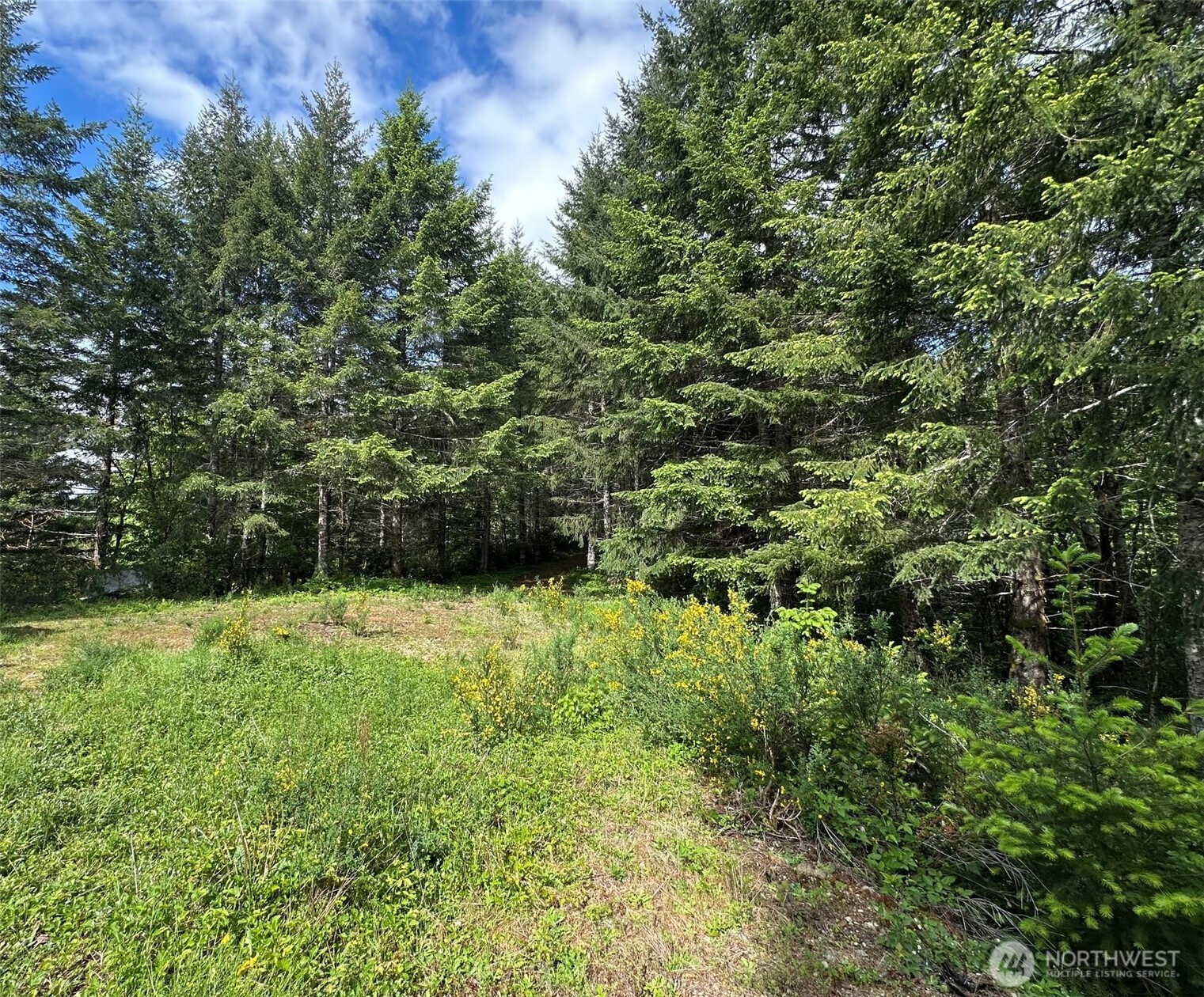 150 North Sunnyside Road Shelton, WA 98584 - Photo 11 of 22