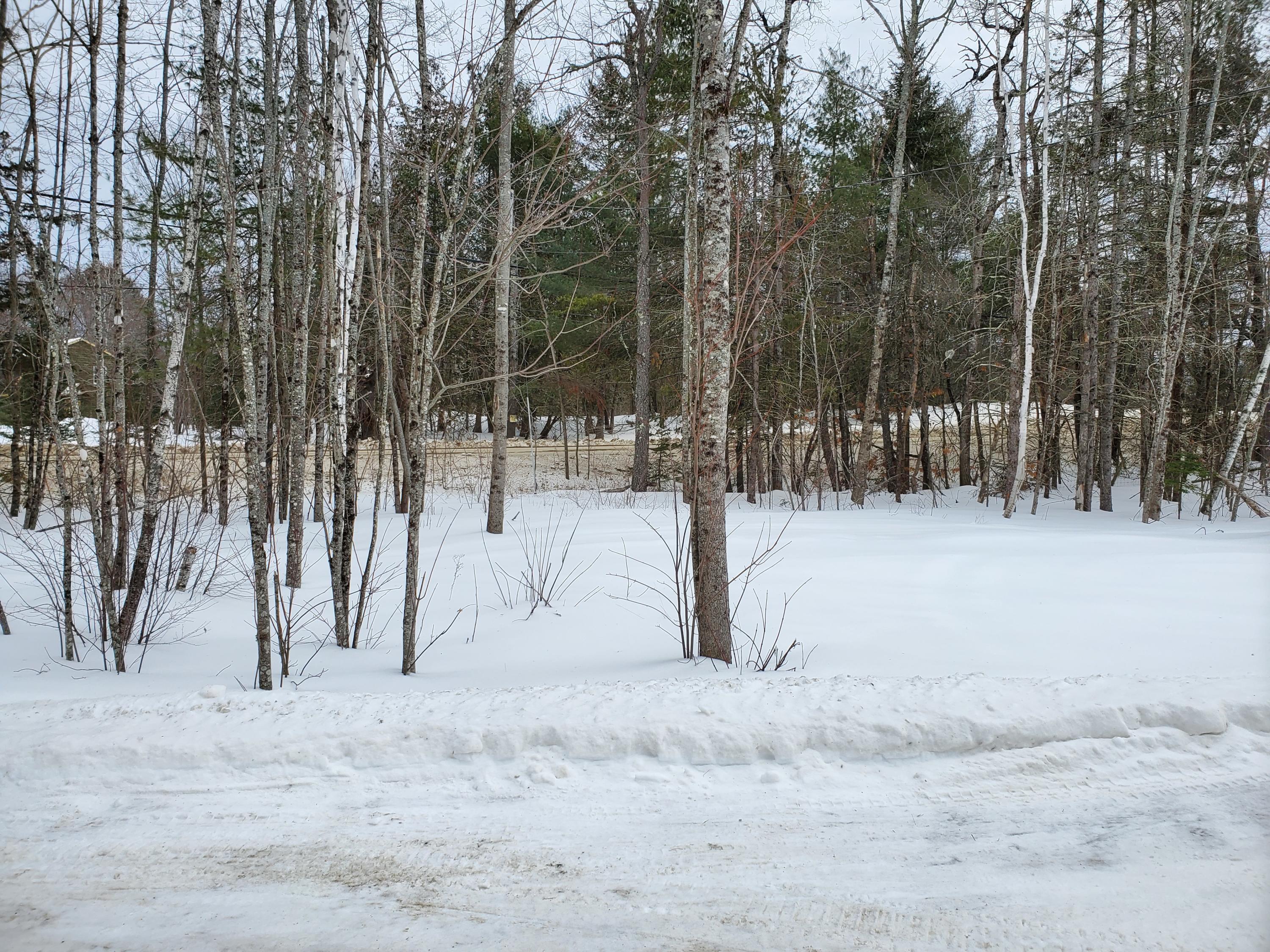 388 Kenduskeag Levant Road Kenduskeag, ME 04450 - Photo 25 of 28 Woods in front