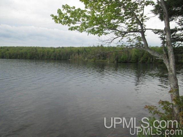 Tbd Washington Mine Road, Unit LOT 11 Mohawk, MI 49950 - Photo 9 of 18 Gallery Image 9
