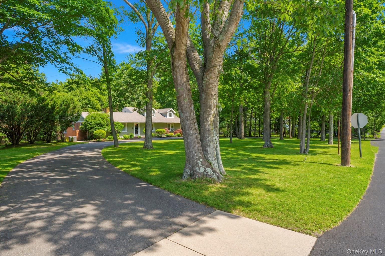 117 Hallock Road Lake Grove, NY 11755 - Photo 5 of 49 Gallery Image 5