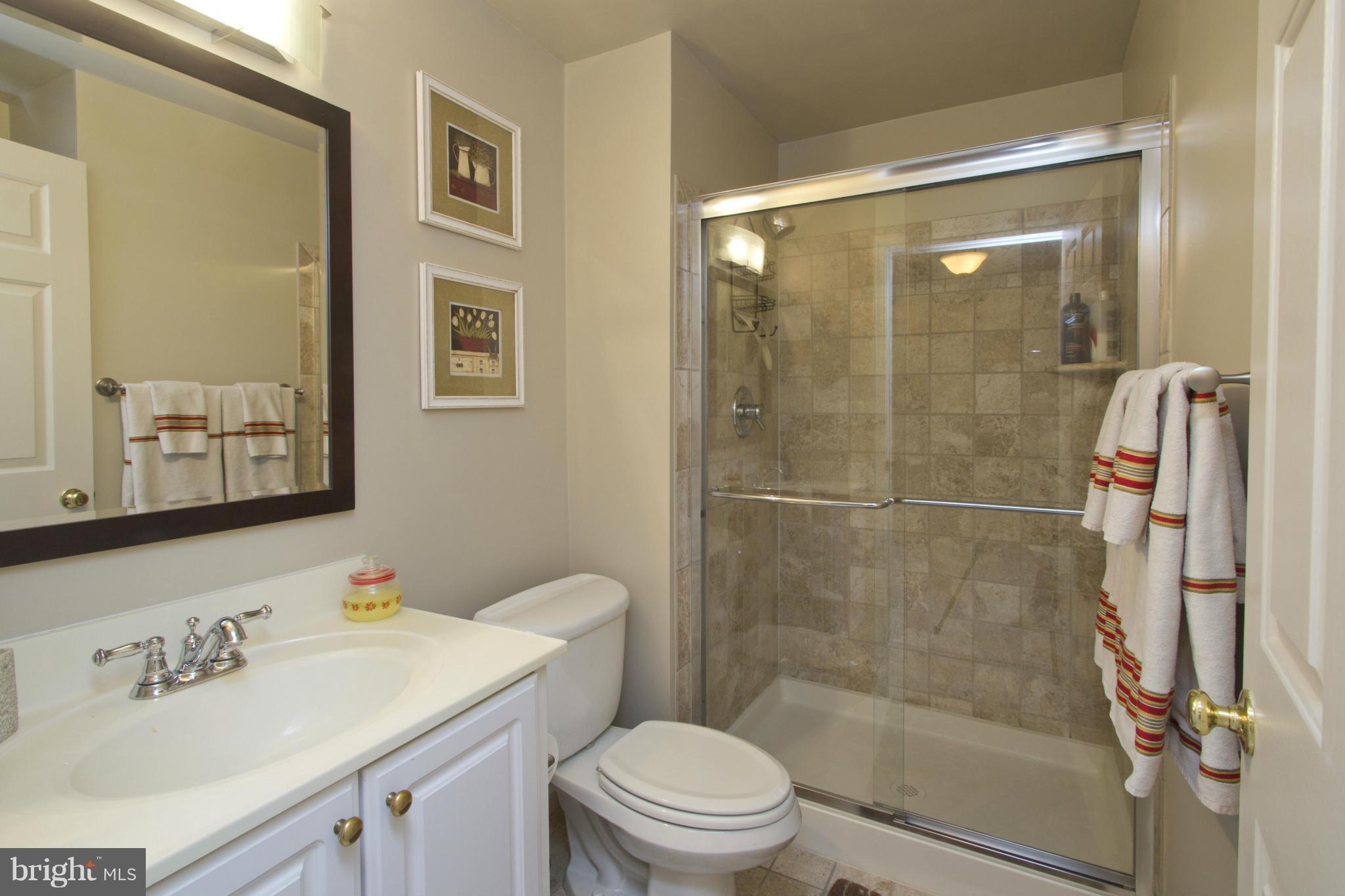 7607 Bear Forest Road Hanover, MD 21076 - Photo 18 of 24 Full Bathroom Lower Level