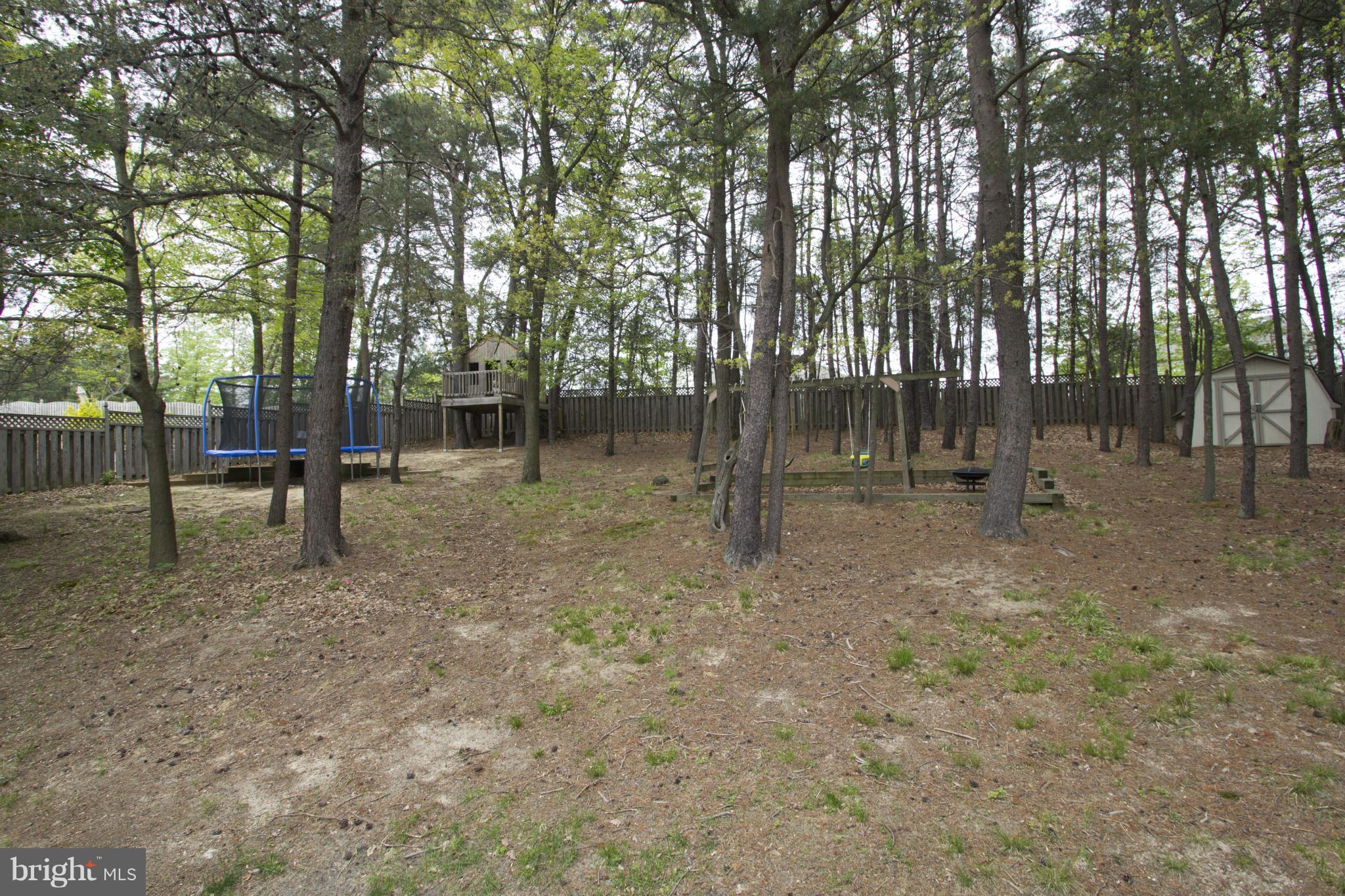 7607 Bear Forest Road Hanover, MD 21076 - Photo 23 of 24 Back Yard