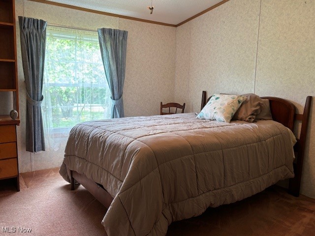 12575 Zane Road Lore City, OH 43755 - Photo 30 of 37 Carpeted bedroom featuring ornamental molding and access to outside