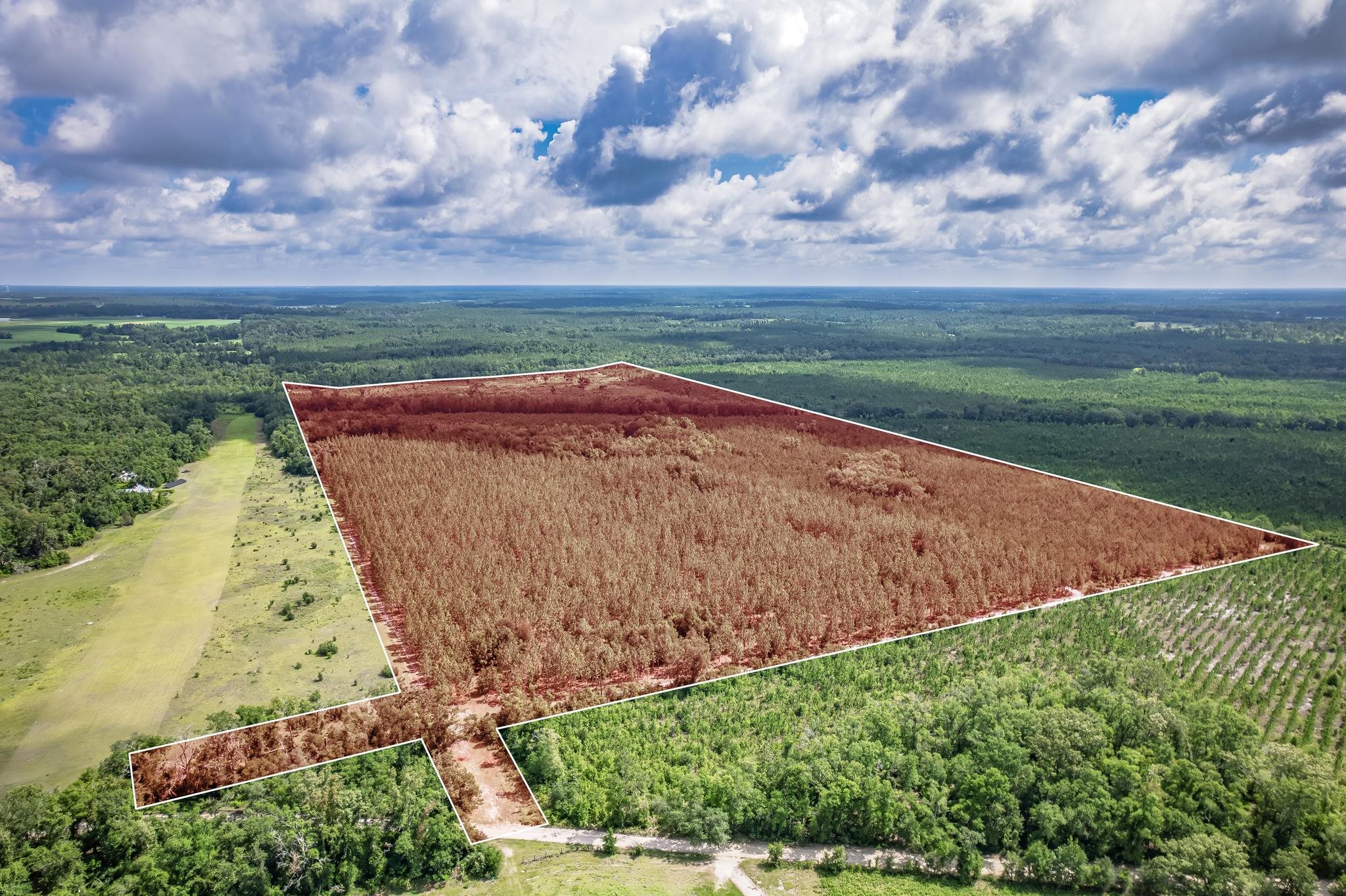 Xxx Northeast Hickory Grove Road Pinetta, FL 32350 - Photo 3 of 32