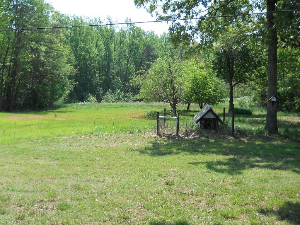 10261 Park Springs Road Ruffin, NC 27326 - Photo 11 of 26 Beautiful property additional acreage available
