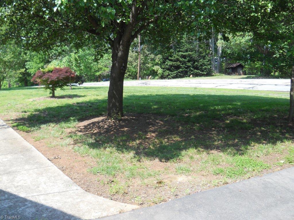 10261 Park Springs Road Ruffin, NC 27326 - Photo 7 of 26 Front yard view