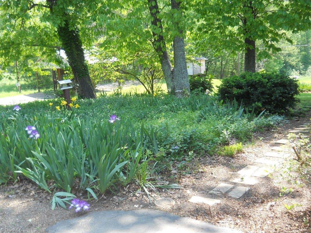 10261 Park Springs Road Ruffin, NC 27326 - Photo 8 of 26 Gardens where loved and manicured by Mrs. Lillard.