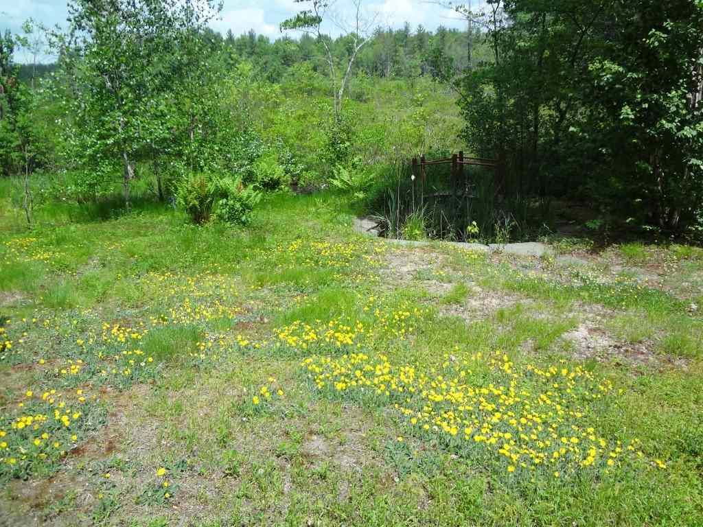 137 Farley Road Hollis, NH 03049 - Photo 11 of 28