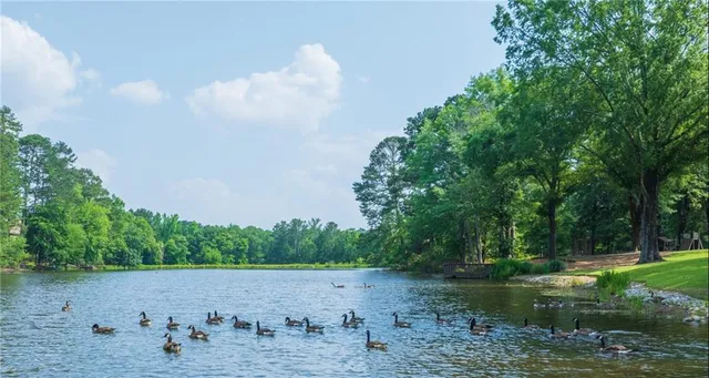a view of a lake with trees in the background