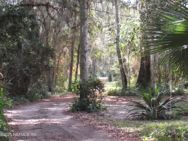 a view of a yard with plants and trees
