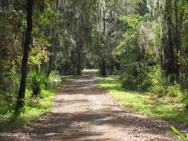 a view of a park with large trees
