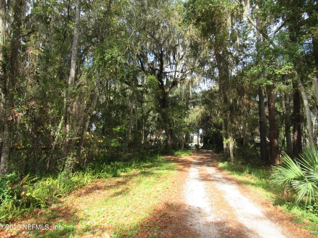 a view of yard with trees